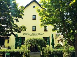 Hotel-Landgasthof Grüner Baum - Dittigheim, hotel en Tauberbischofsheim