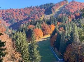 Garden Apart Predeal