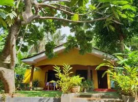 R&N Yellow House