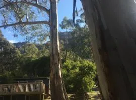 Grampians Nest