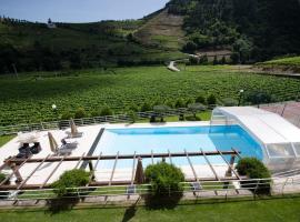 Solar Quinta da Portela - Douro