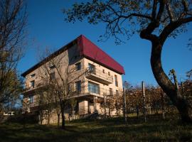 Panoramic, cheap hotel in Baia-Sprie