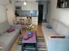 Apartament Morskie Polanki