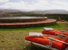 Rietfontein Ostrich Palace