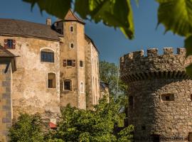 Burg Plankenstein: Texing şehrinde bir ucuz otel