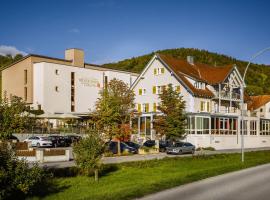 Landhotel Wilder Mann, отель в городе Eggingen