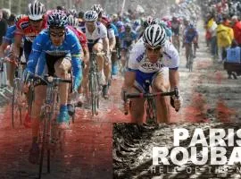 Bambou & Olivier Chambres