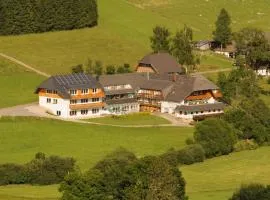 Hotel Kaltenbach