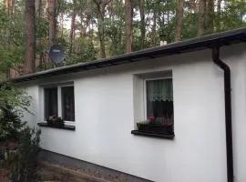 Ferienhaus Prieros