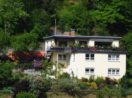 Ferienwohnung Haus am Sommerberg, hotel near Steinbach am Wald Train Station, Ludwigsstadt