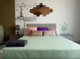 Bangi Studio Suite - Netflix