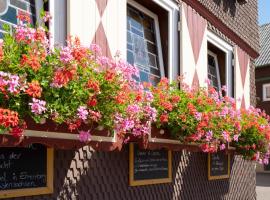 Landgasthof Zum Stern Wasserkuppe Rhön, posada u hostería en Poppenhausen