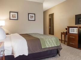Comfort Inn Edinburg South, hotel v destinaci Edinburg