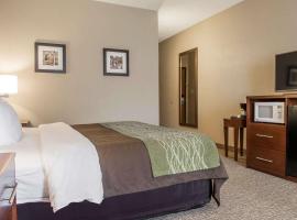 Comfort Inn Edinburg South, hotel a Edinburg