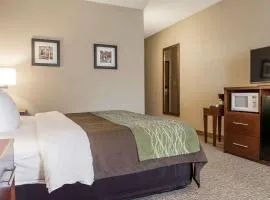 Comfort Inn Edinburg South