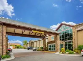 Comfort Inn Downtown