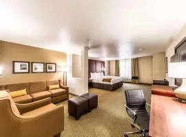 Comfort Suites Grand Prairie - Arlington North