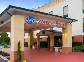 Comfort Suites Cumming-Atlanta near Northside Hospital Forsyth, hotel in Cumming