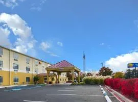 Comfort Inn