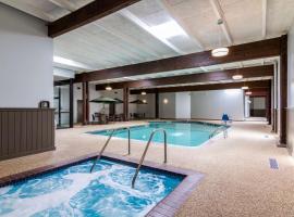 Comfort Inn Plymouth-Minneapolis, pet-friendly hotel in Plymouth