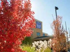 Sleep Inn Asheville - Biltmore West