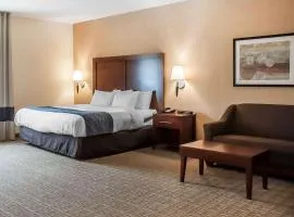 Comfort Inn & Suites Hamburg - Buffalo South