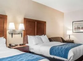 Comfort Inn & Suites Hamburg - Buffalo South