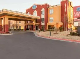 Comfort Suites Central-I-44