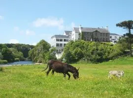 Falls Hotel & Spa