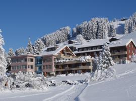 Ferien- und Familienhotel Alpina Adelboden、アデルボーデンのホテル