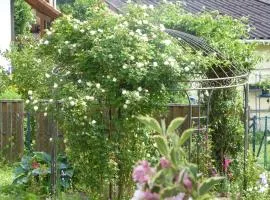 Enzkreisspitze Garten
