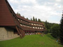 Ingo Hotel Arnika, hotel v Kubově Huti