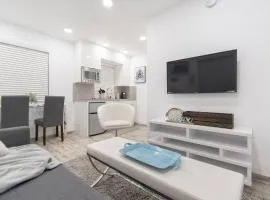 STYLISH 1 BEDROOM APT WITH A MASTER SUITE UNIT# 1