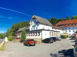 Hotel Rodebachmühle, hotel em Georgenthal