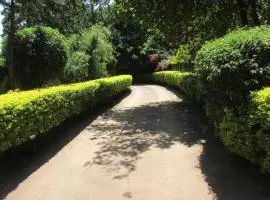 Themi Valley Eco and Cultural Tourism Homestay