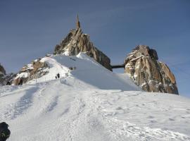 Appartement chamonix face au mont blanc