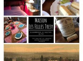 Gîte Chambre de la Tante Camille - Les Filles Tresy, smeštaj za odmor u gradu Passenans