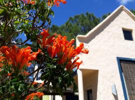 Chalets del Bosque, hotel in La Paloma