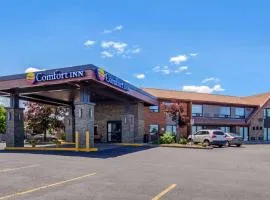 Comfort Inn St. Catharines Niagara