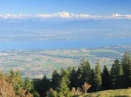 30C Route d'Arzier