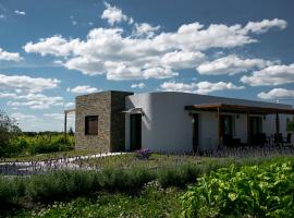 Pizzorno Lodge & Wine, hotel a Progreso