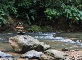 Rain Forest Guest House and Jungle Trekking