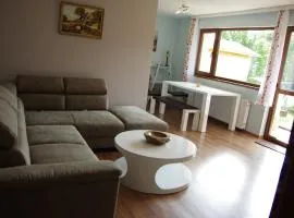 Ferienwohnung " MILA" in Schwarzwald near Titisee