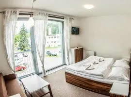 Luxusní horský apartmán přímo u sjezdovky Kouty