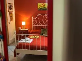 B&B Miroca