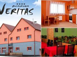 Penzion Veritas, vacation rental in Vranovice