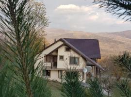 Casa 4 Anotimpuri, vacation rental in Gura Bîscei