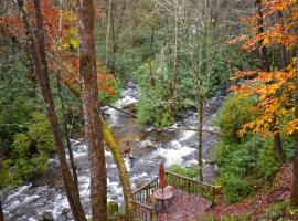 The Junction, cabin in Robbinsville