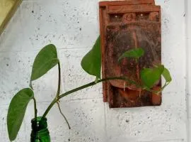 Adams Wood House Ayurveda Homestay Kochi