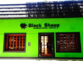 Black Sheep International Hostel, vandrehjem i Mendoza
